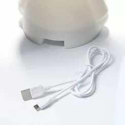 Mr Maria First Light Décor