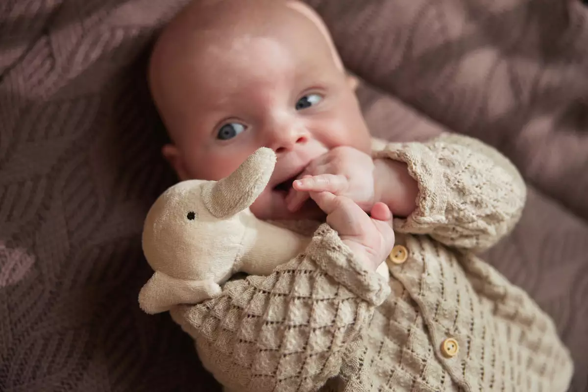 Jollein Rattle Elephant Toys 4 Jollein Rattle Elephant Toys