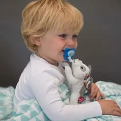 Pacifiers & Teethers Zazu Pacifier Holder