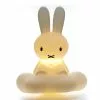 Light Miffy's Dream Décor