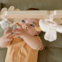 Little Dutch LD Baby Gym Little Goose