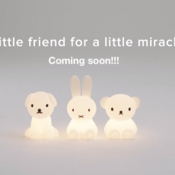 Mr Maria First Light Décor