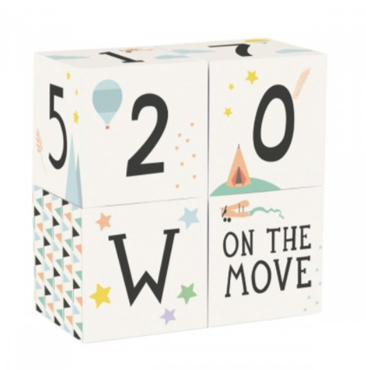 Milestone Baby Age + Moment Blocks 4 Milestone Baby Age + Moment Blocks