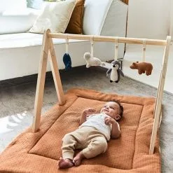 Jollein Babygym Toys