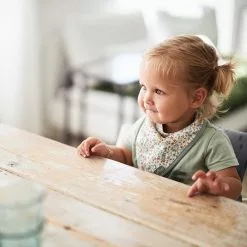 Jollein Feeding Bandana Bib 2 Pack